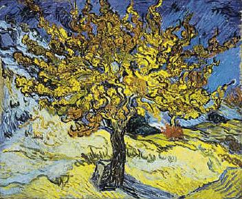 Vincent Van Gogh Mulberry Tree Norge oil painting art